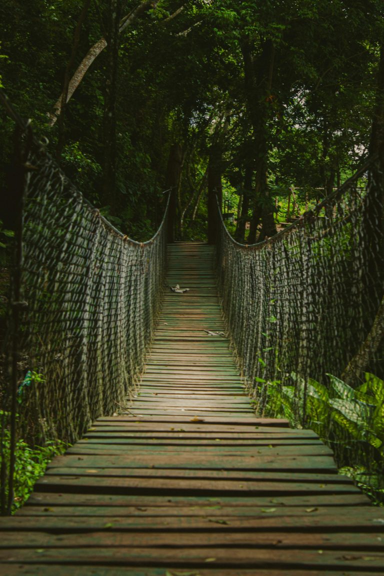 Discover the adventurous charm of a wooden suspension bridge in a lush tropical Nicaraguan forest.