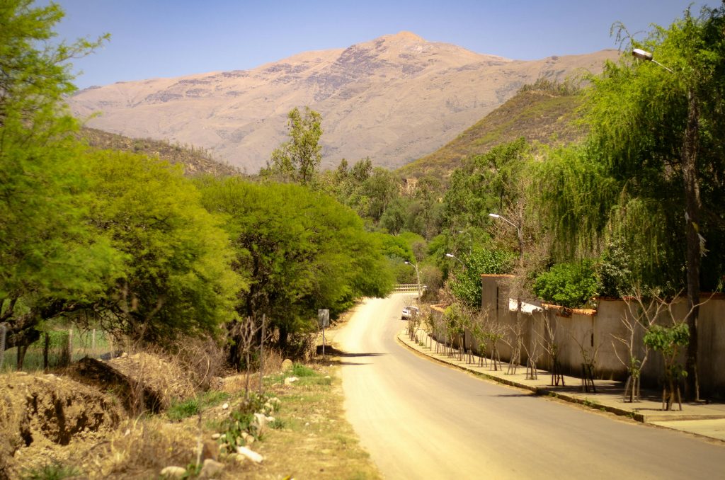 Serene road winding through lush green trees and arid mountains under a clear sky.