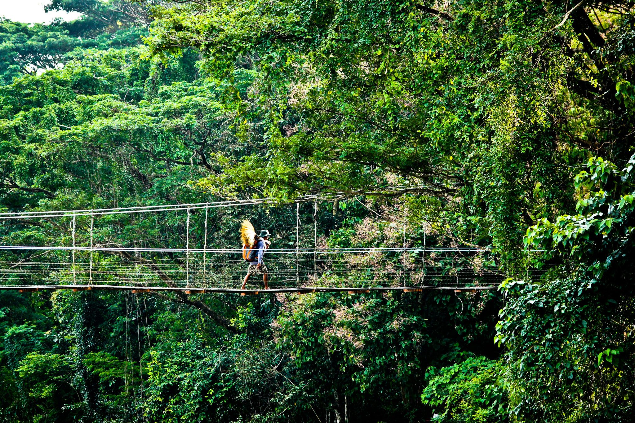 A breathtaking view of a lush jungle with a traveler crossing a hanging bridge.