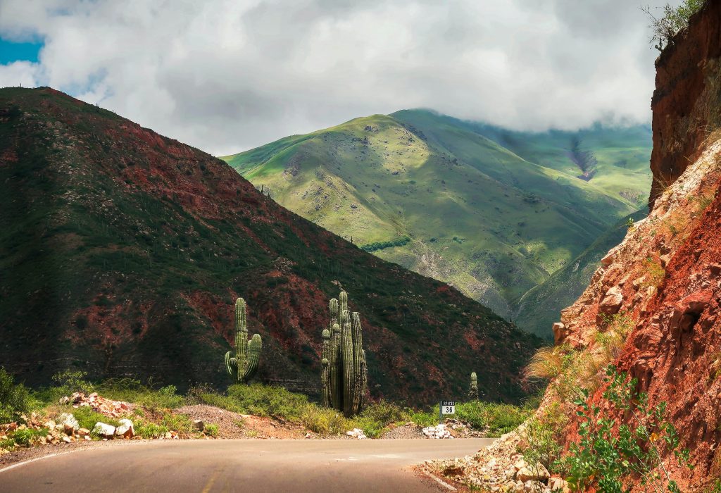 Breathtaking landscape empty roadway located on scenic highlands with red sandstone hills covered with greenery and tall cactuses under cloudy sky
